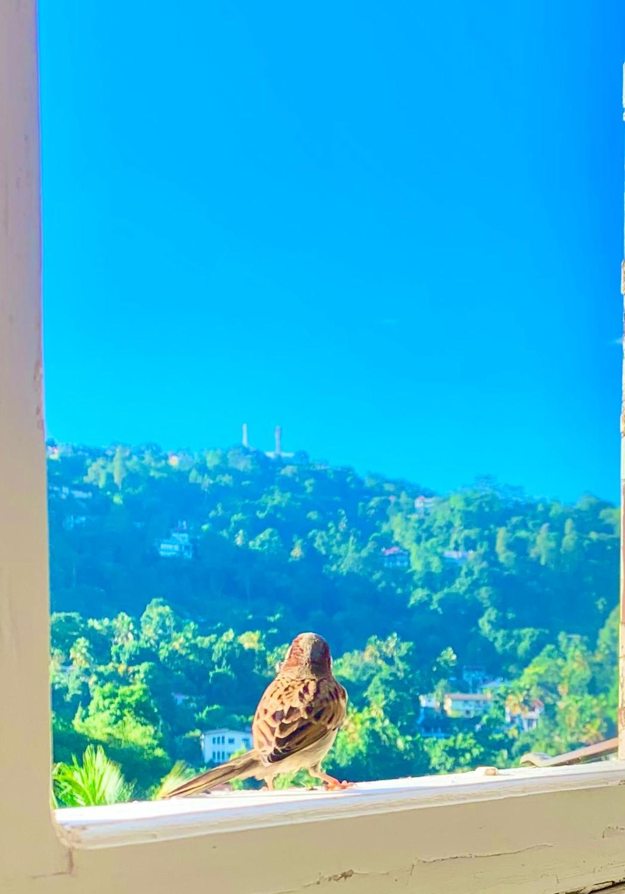 Gangula Villa Kandy Bagian luar foto